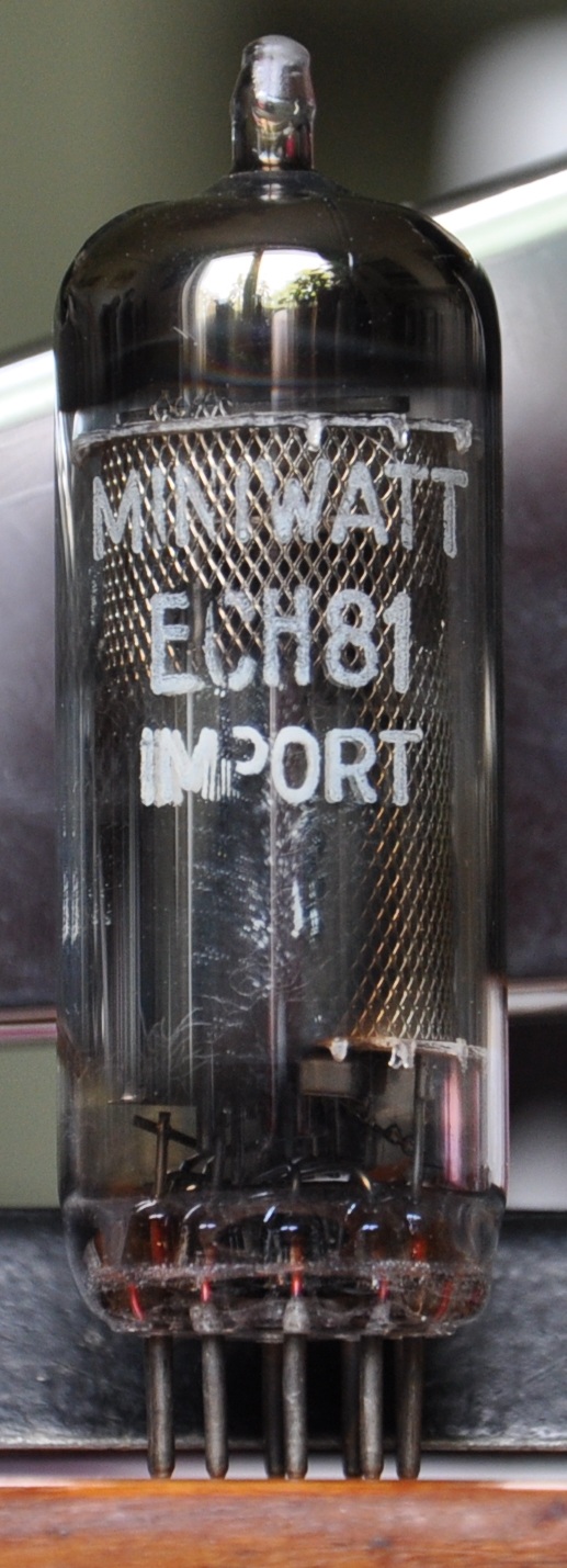 ECH 81