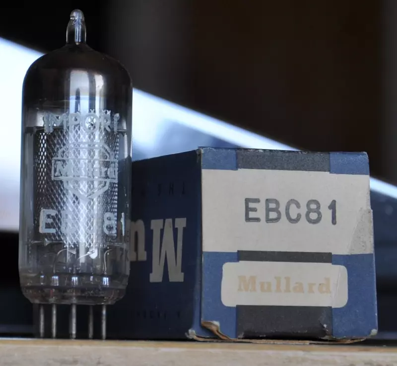 EBC 81