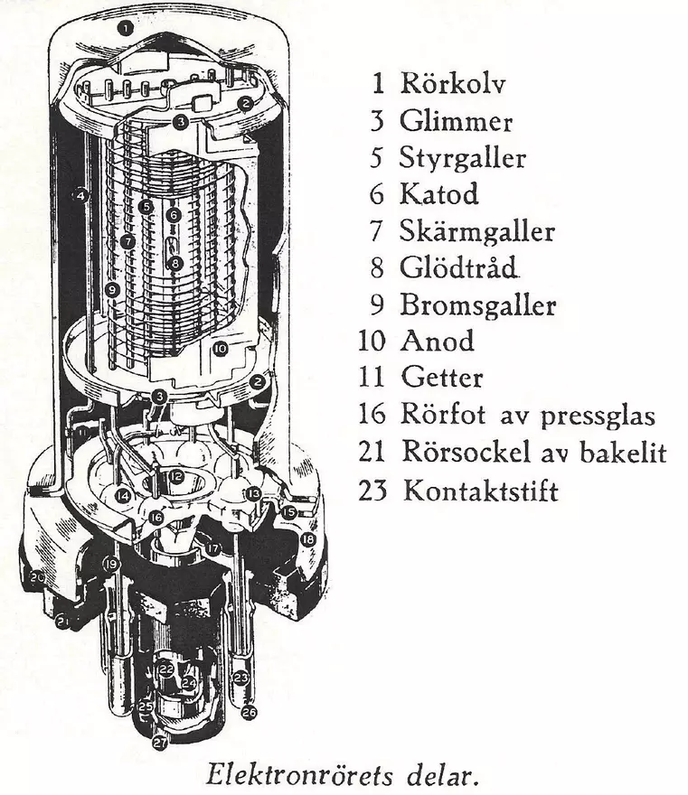 Elekronrör i genomskärning